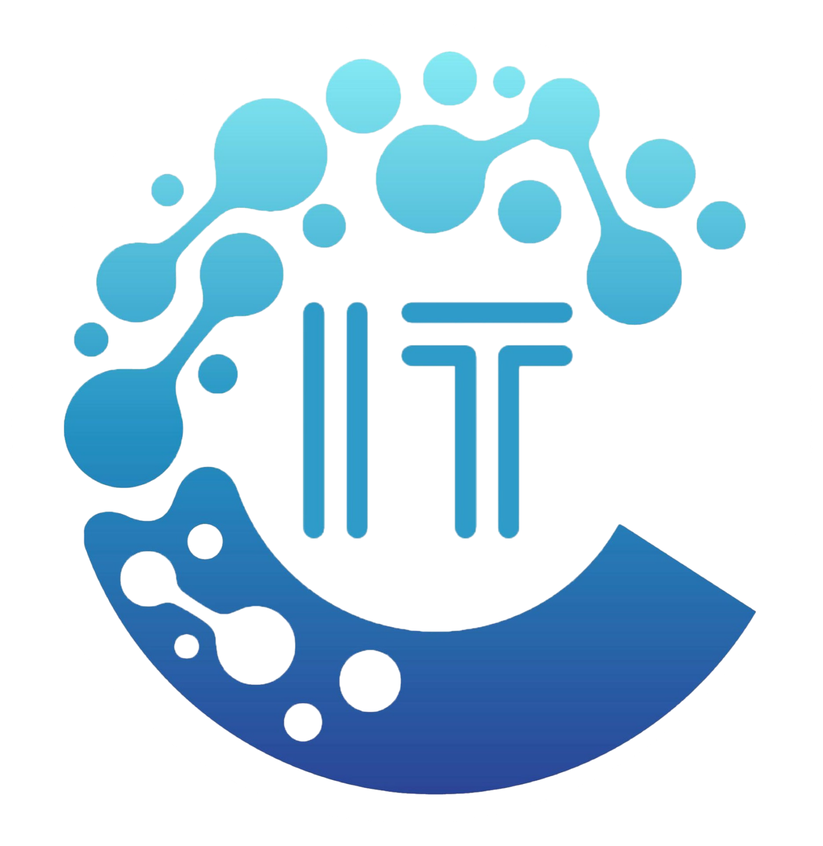 IT Consult Logo